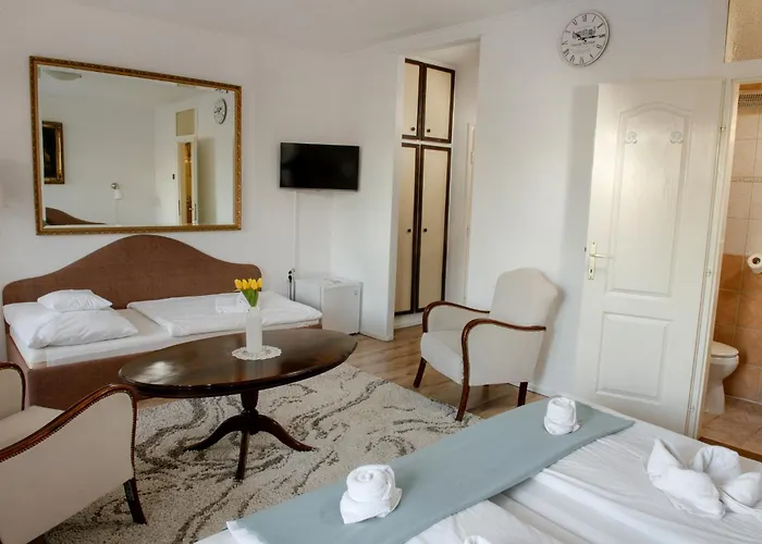 Hotel Barbizon Mestecǎneşti
