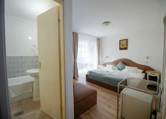 Barbizon 2* Mestecǎneşti