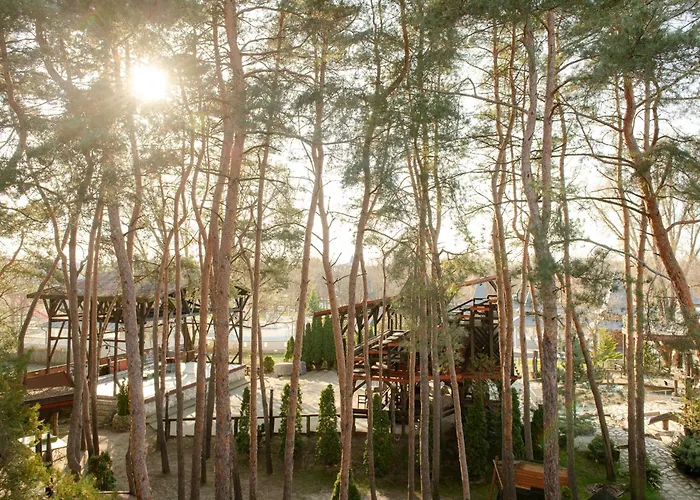 Barbizon Hotel Mestecǎneşti