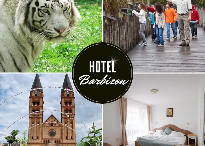 Barbizon Hotel Mestecǎneşti